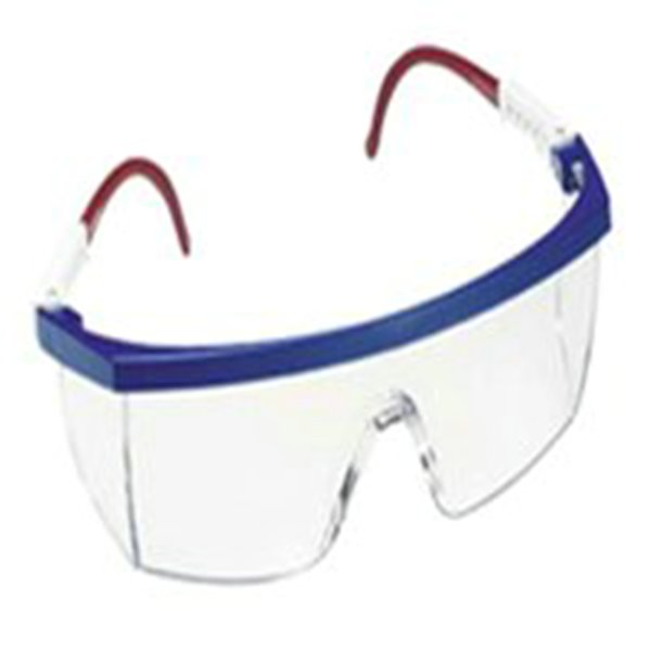 GLASSES NASSAU R/ FRAME CLEAR LENS, 10/BX - Clear Lens